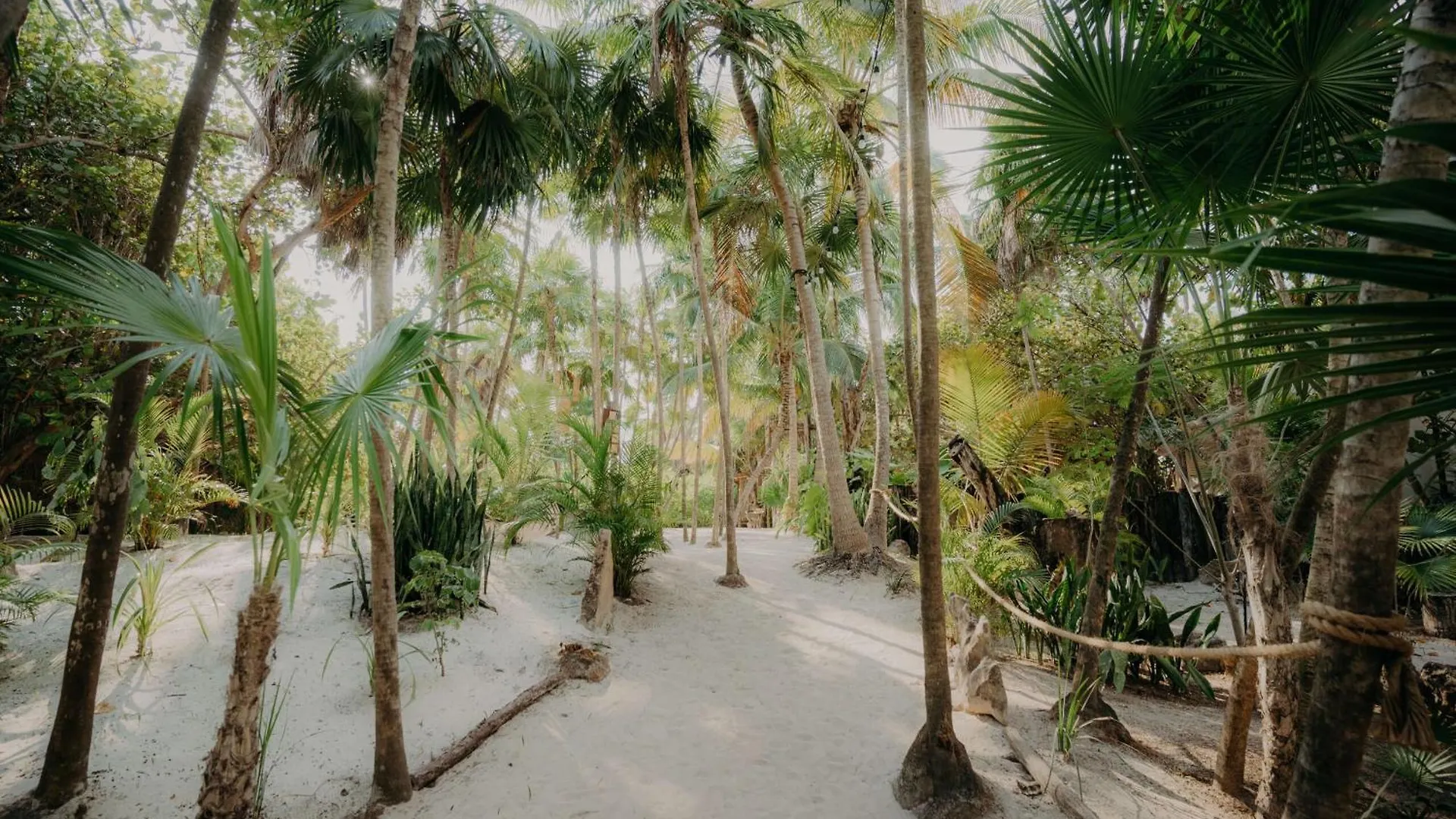 Condo With 2 Pools, Gym, Yoga Deck And Bbq Grill Tulum